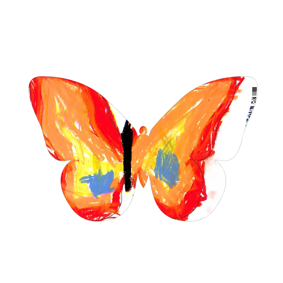 Original Butterfly Image