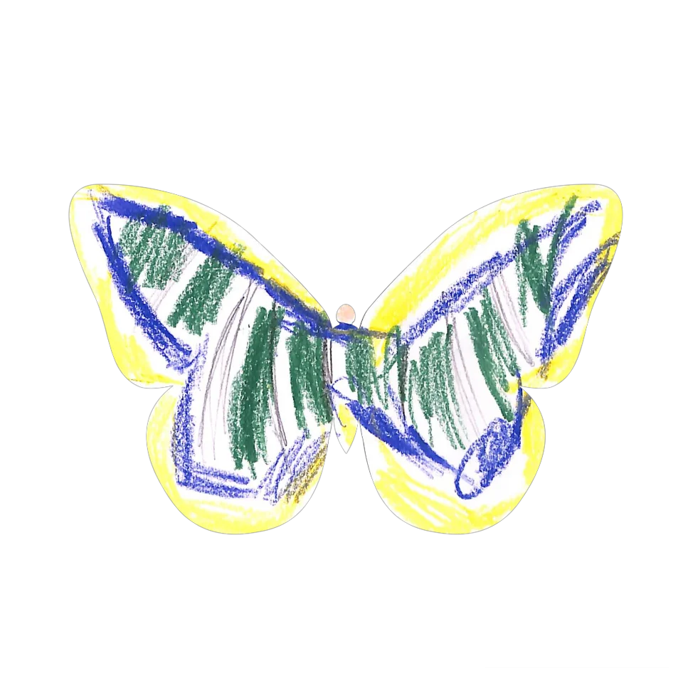 Original Butterfly Image