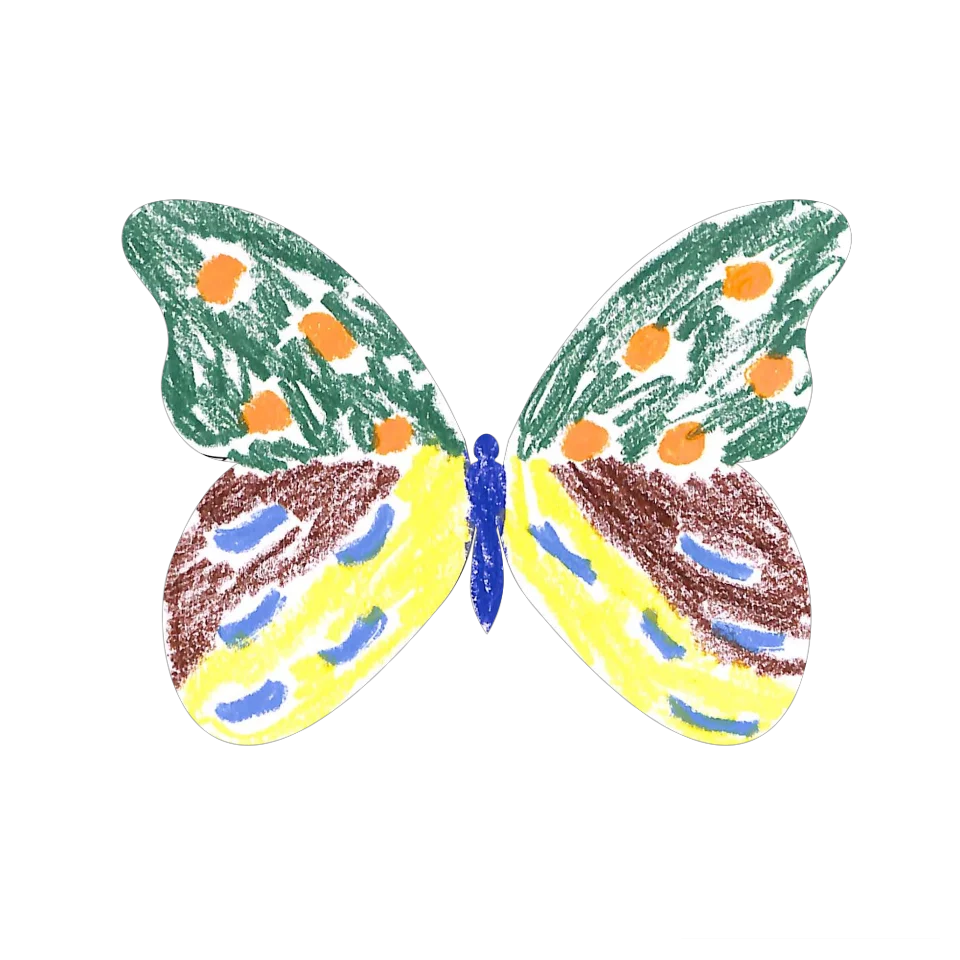Original Butterfly Image
