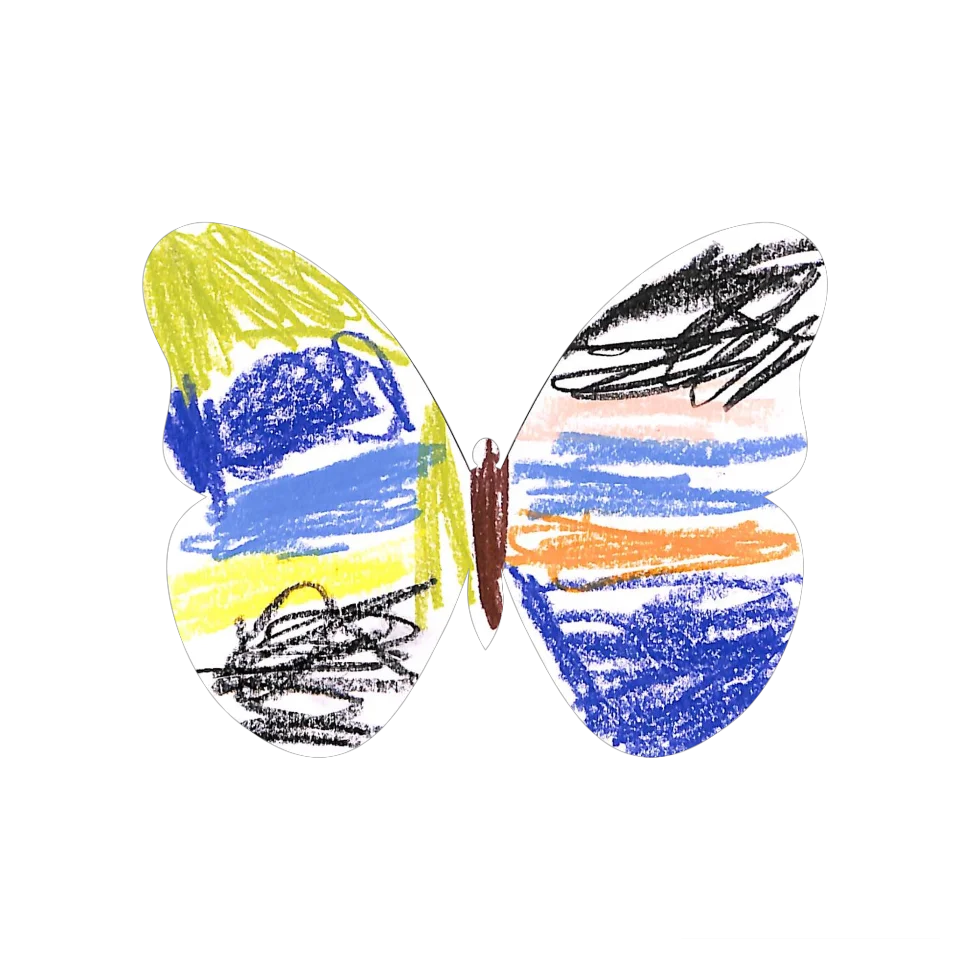 Original Butterfly Image