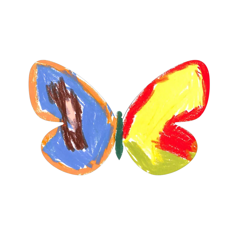 Original Butterfly Image