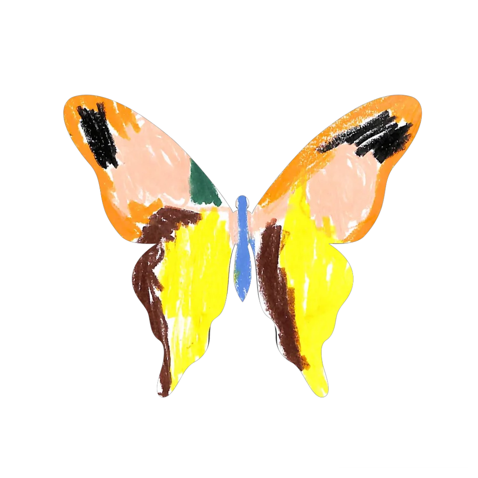 Original Butterfly Image