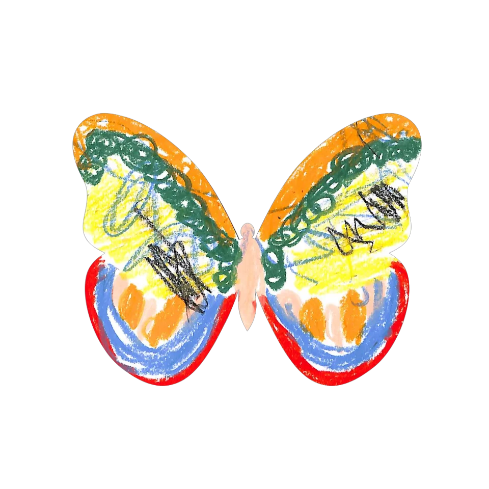 Original Butterfly Image