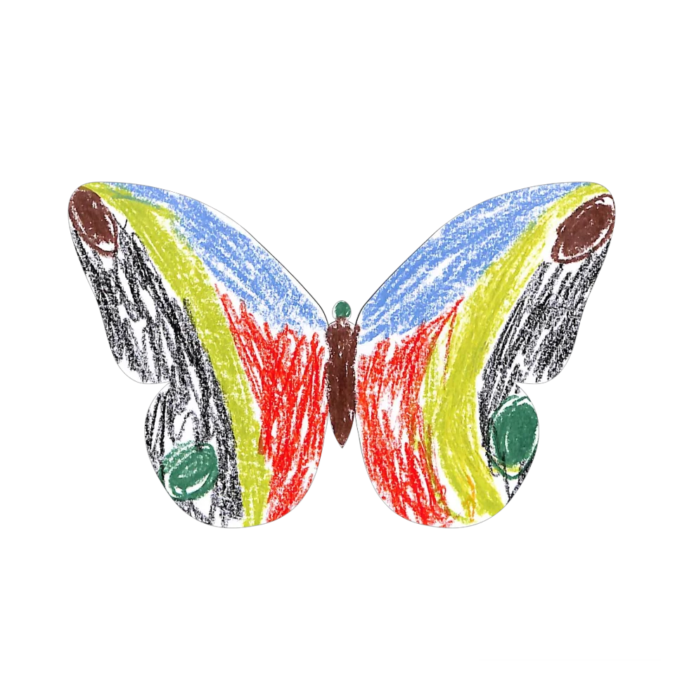 Original Butterfly Image