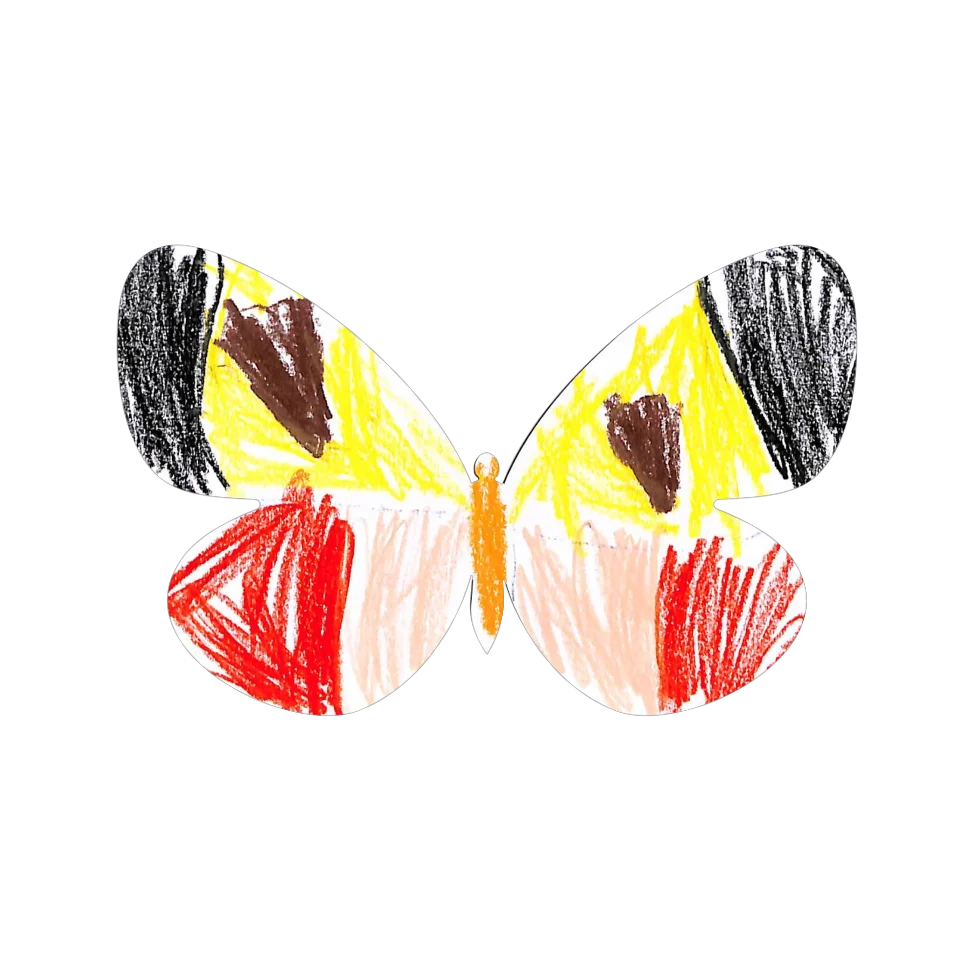 Original Butterfly Image