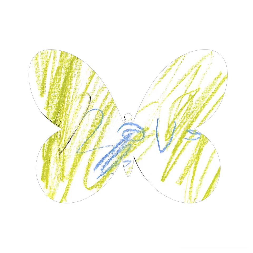 Original Butterfly Image