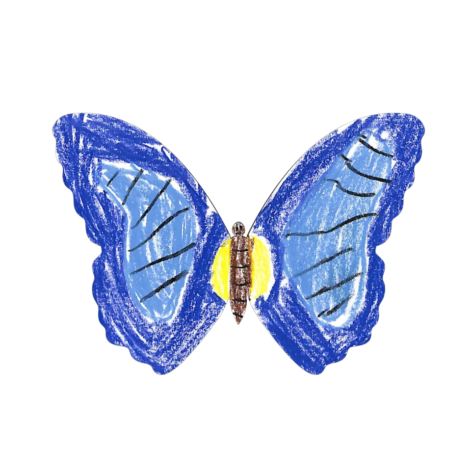 Original Butterfly Image