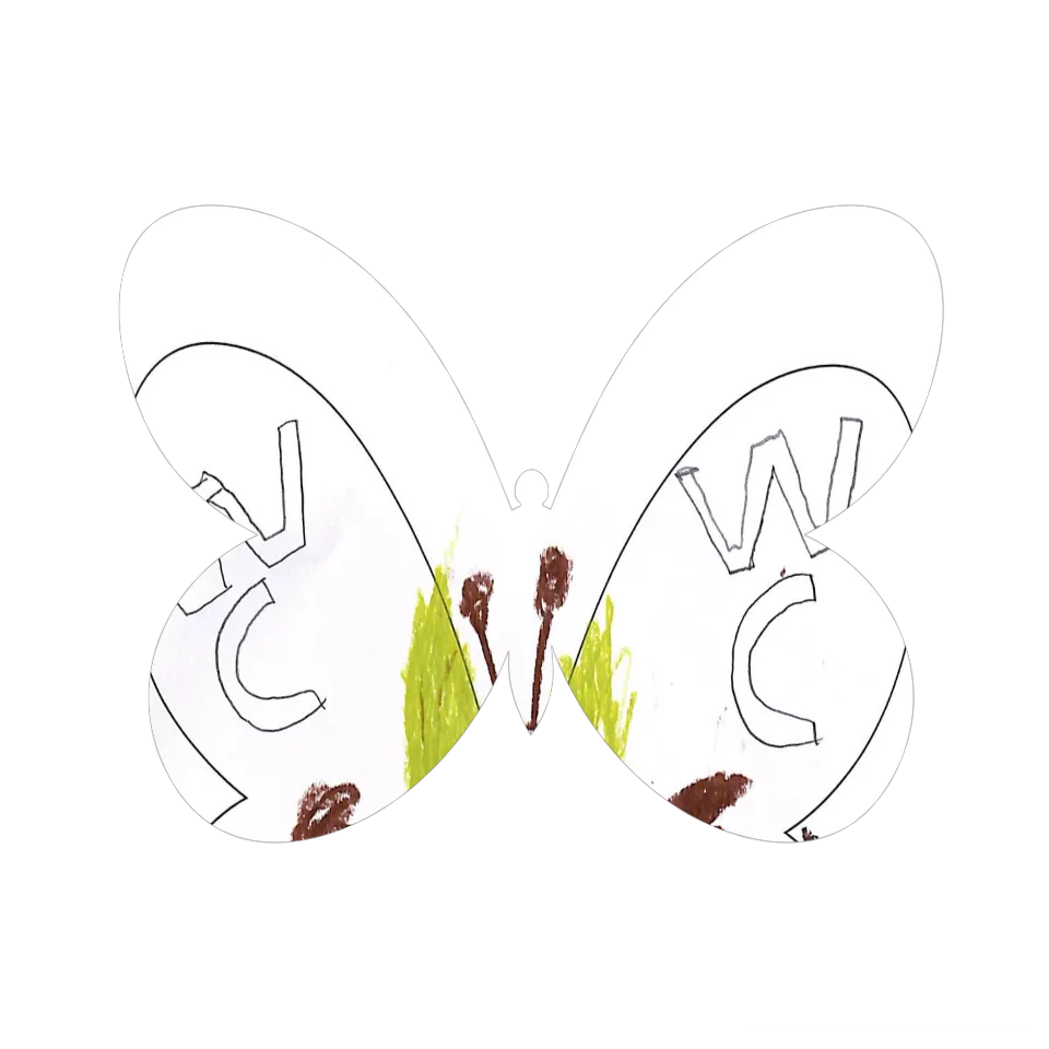 Original Butterfly Image