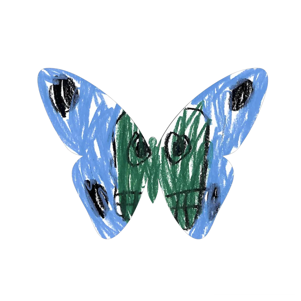 Original Butterfly Image