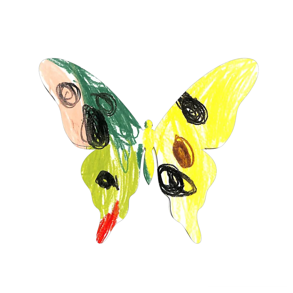 Original Butterfly Image