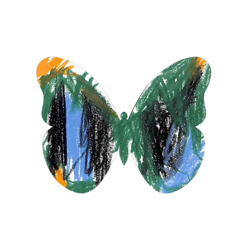Original Butterfly Image