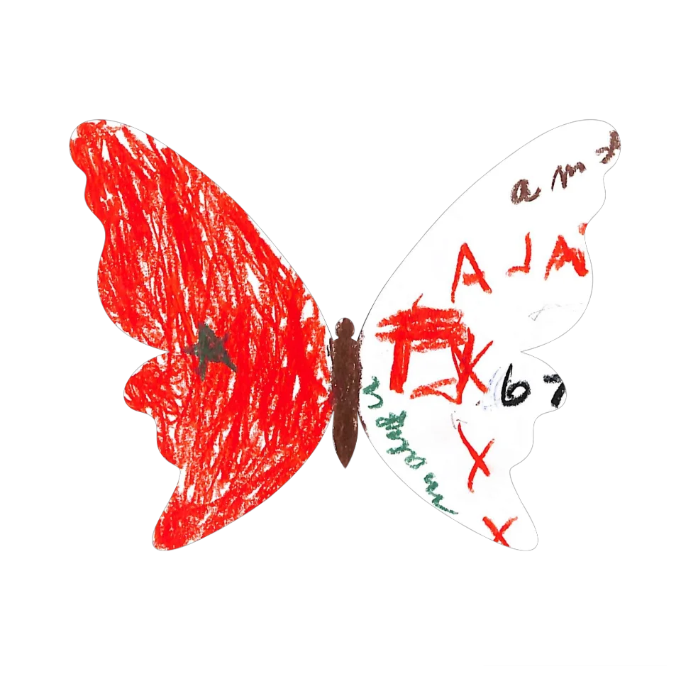 Original Butterfly Image
