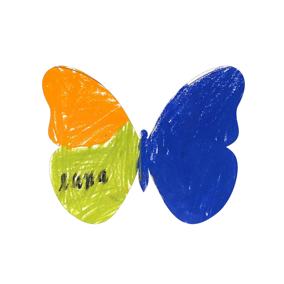 Original Butterfly Image