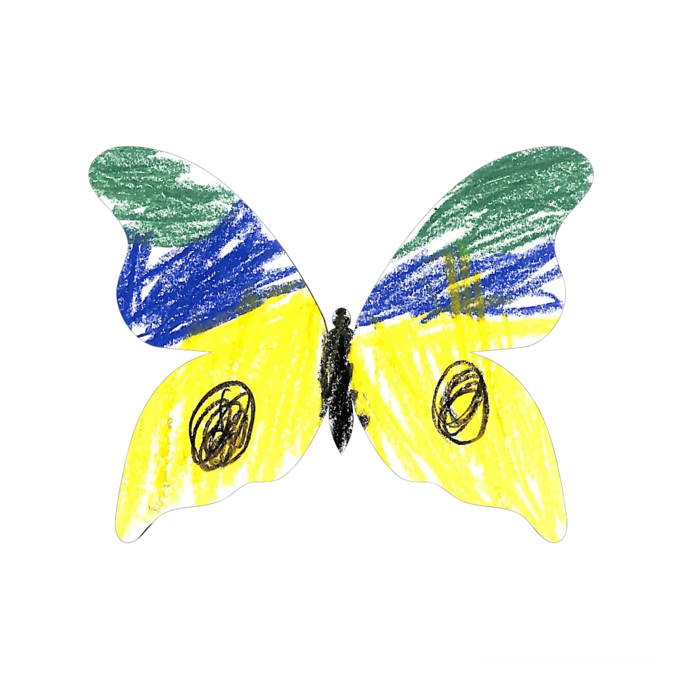 Original Butterfly Image