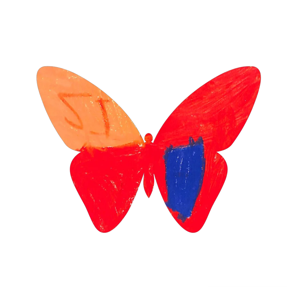 Original Butterfly Image
