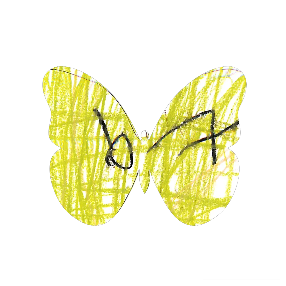 Original Butterfly Image