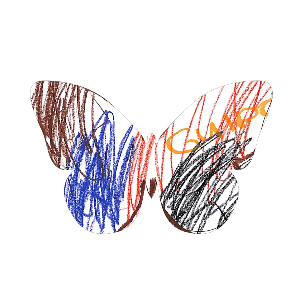 Original Butterfly Image