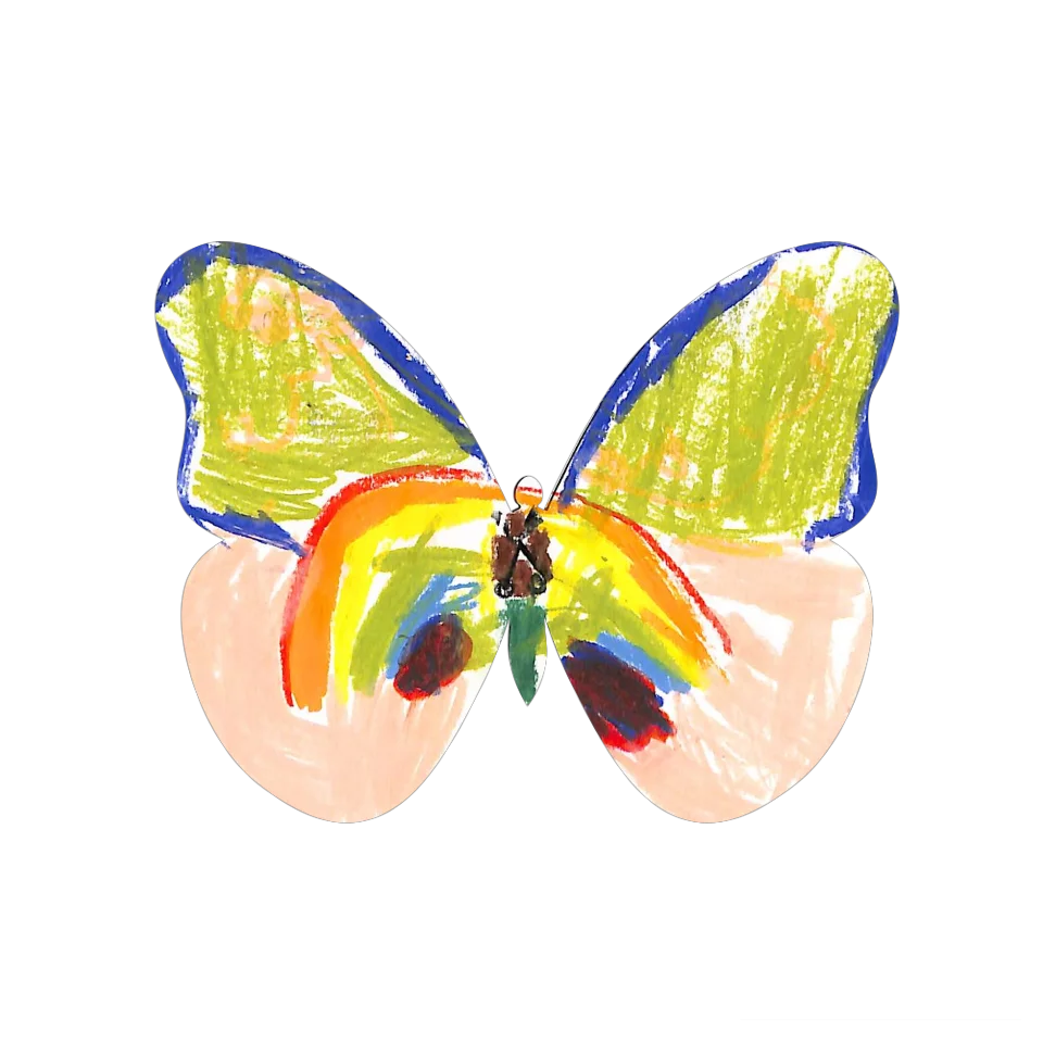 Original Butterfly Image