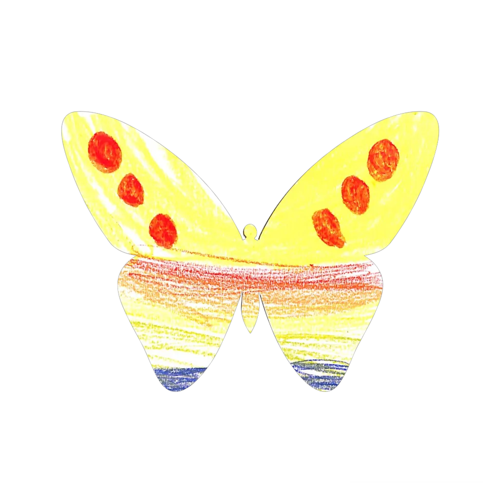 Original Butterfly Image