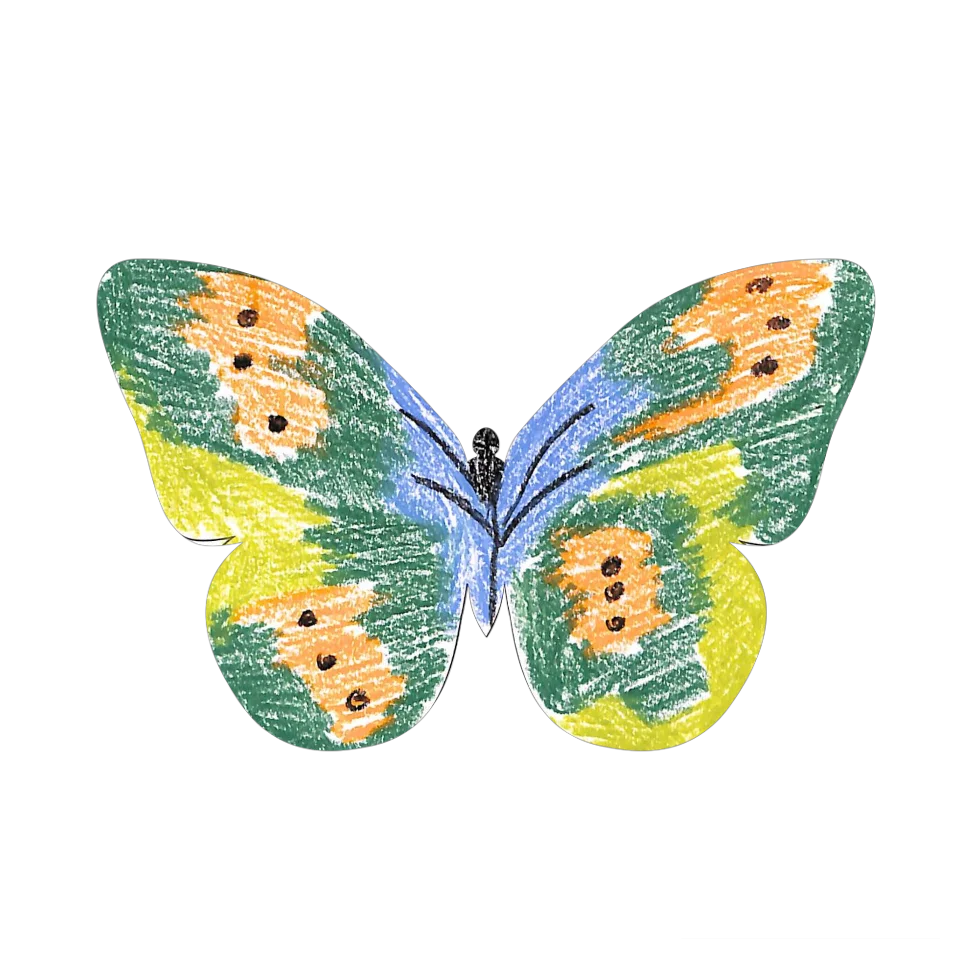 Original Butterfly Image