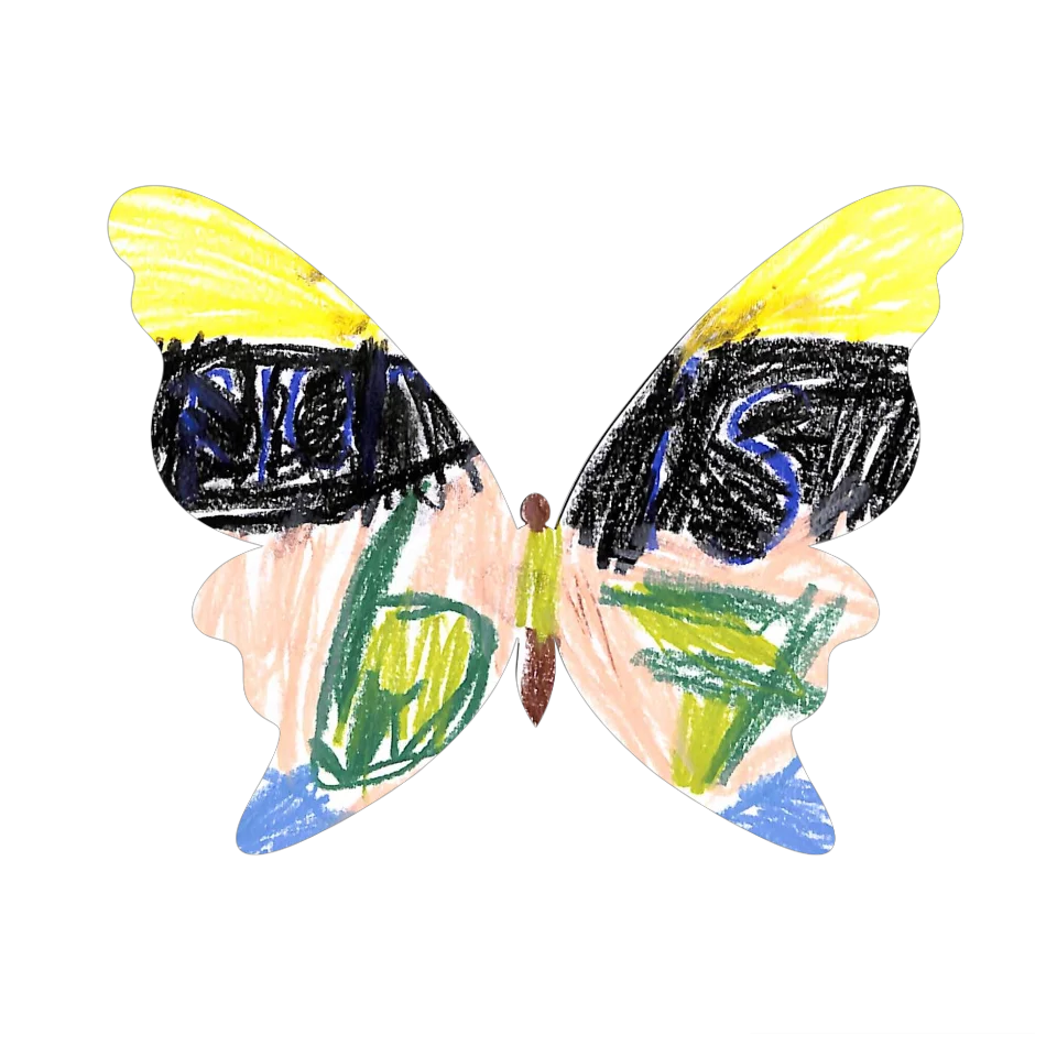 Original Butterfly Image