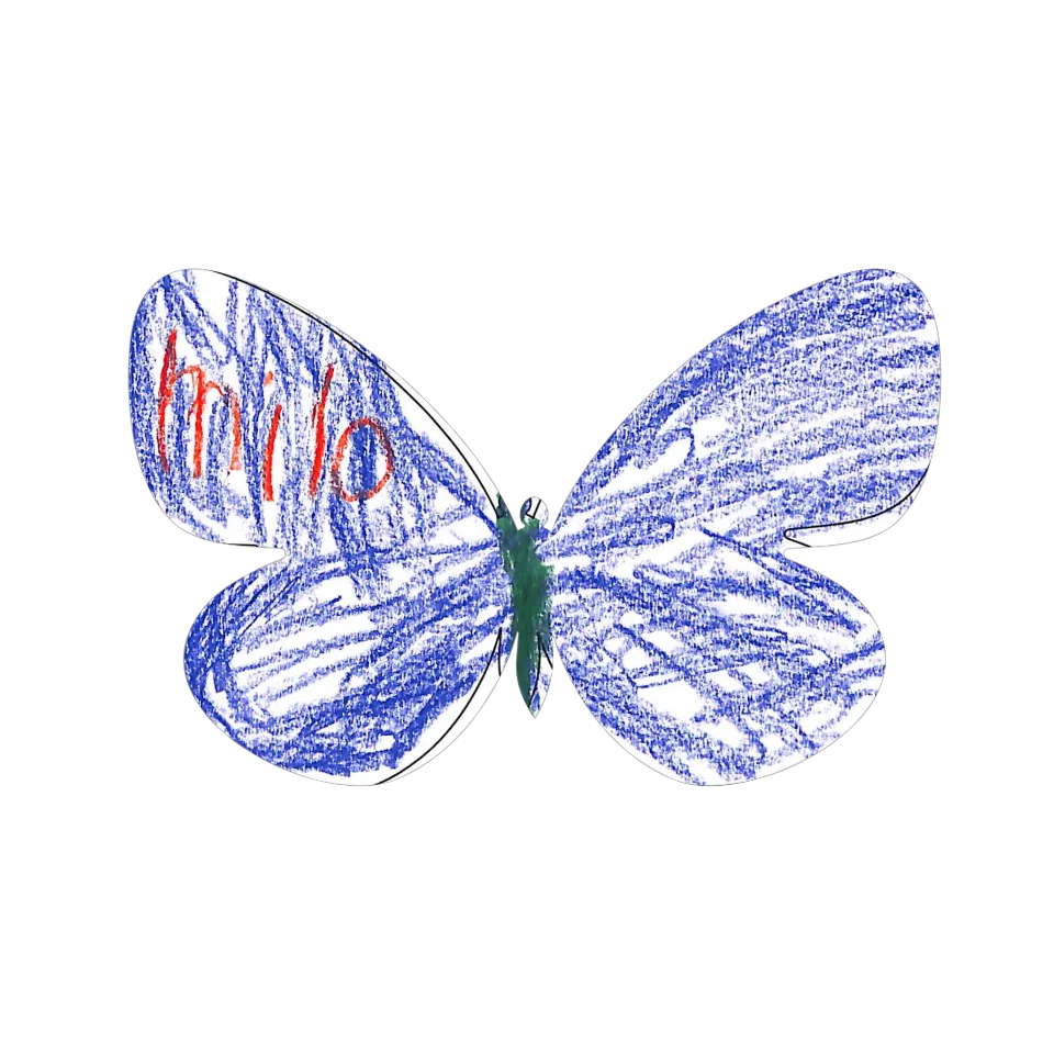 Original Butterfly Image