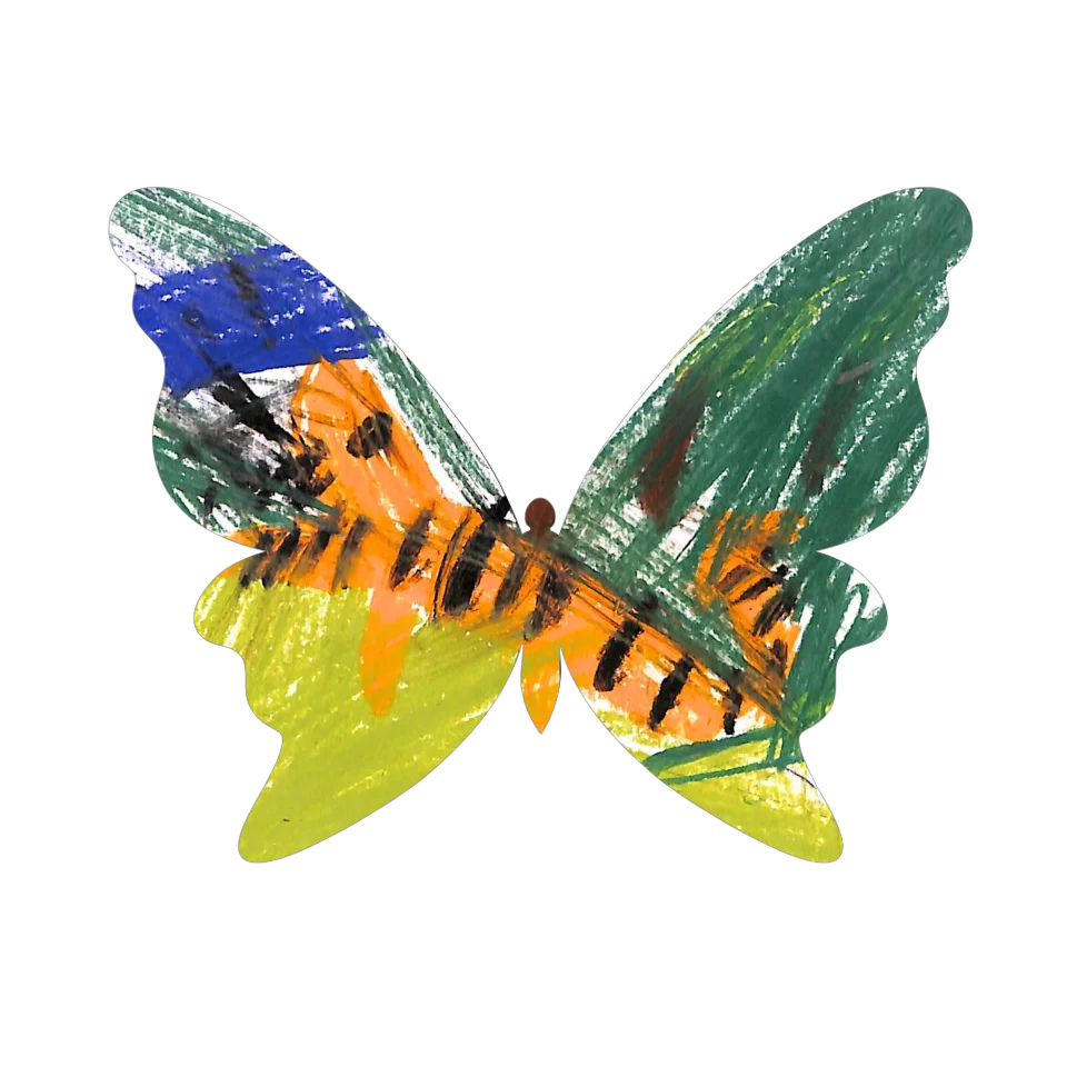 Original Butterfly Image