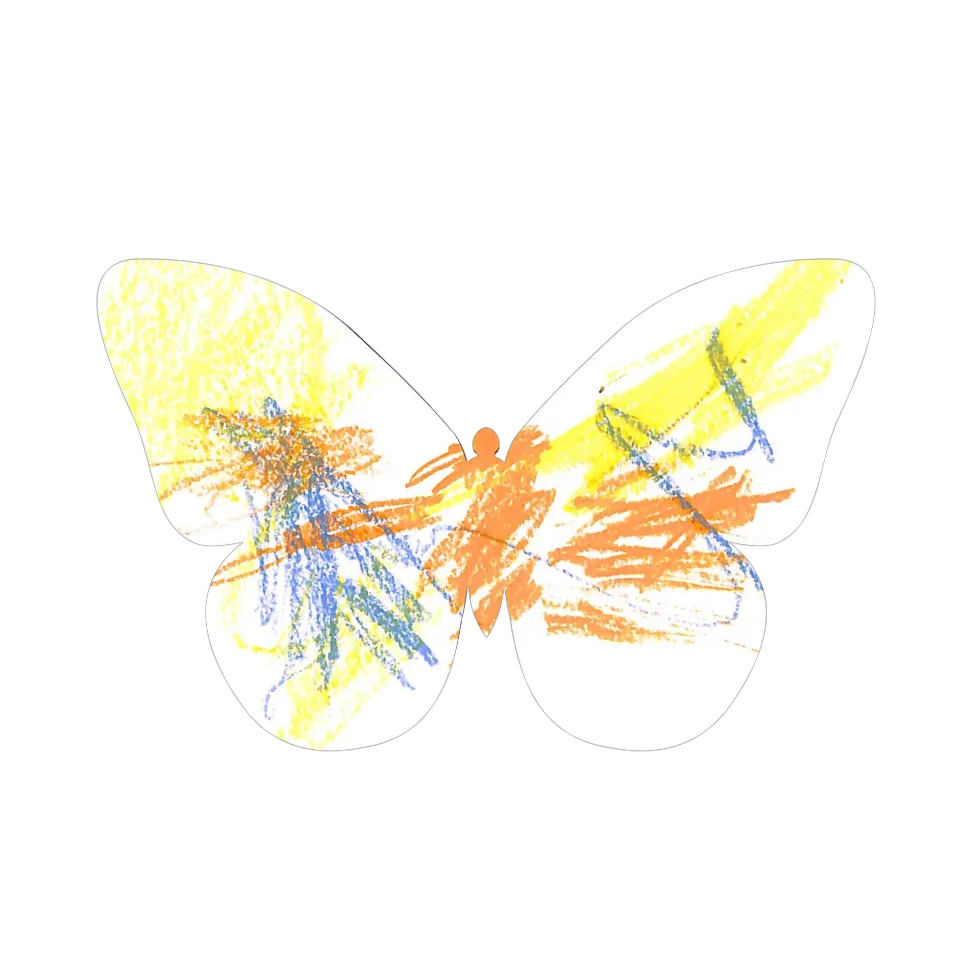 Original Butterfly Image