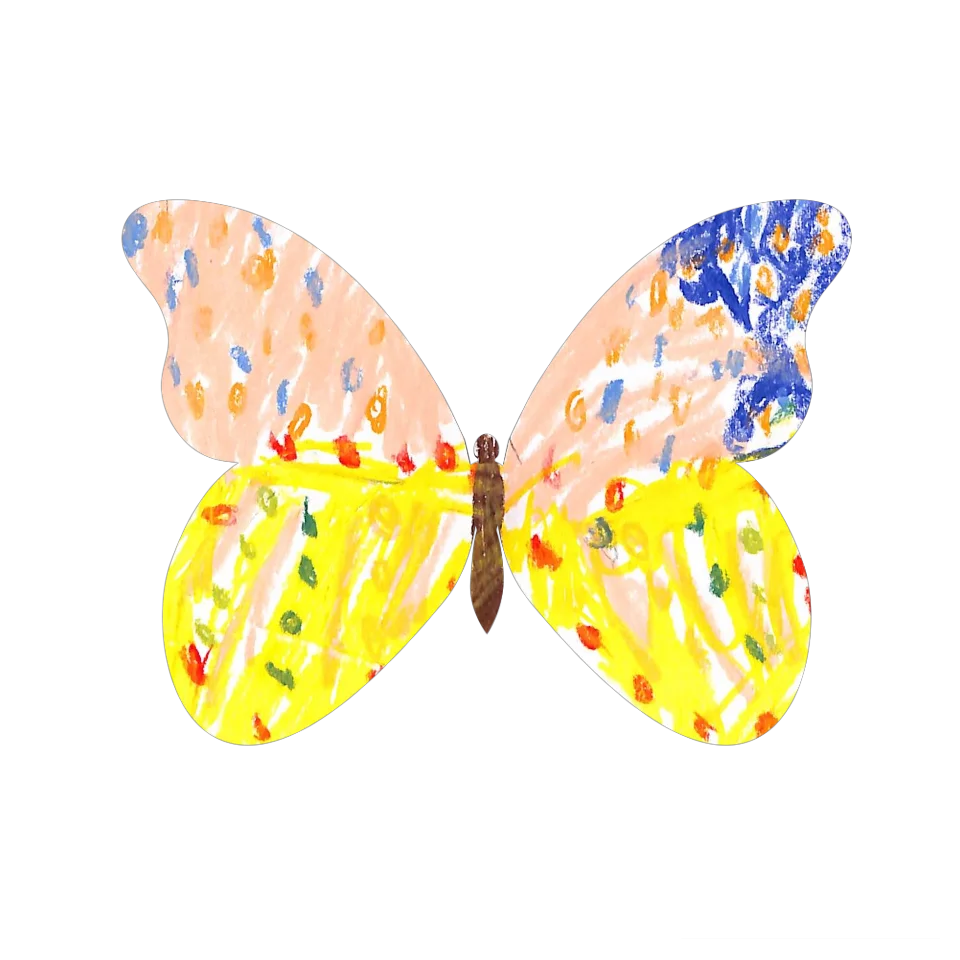 Original Butterfly Image