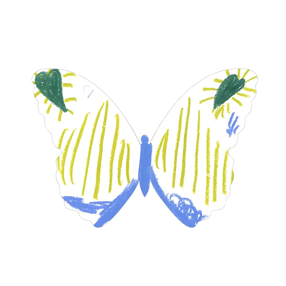 Original Butterfly Image