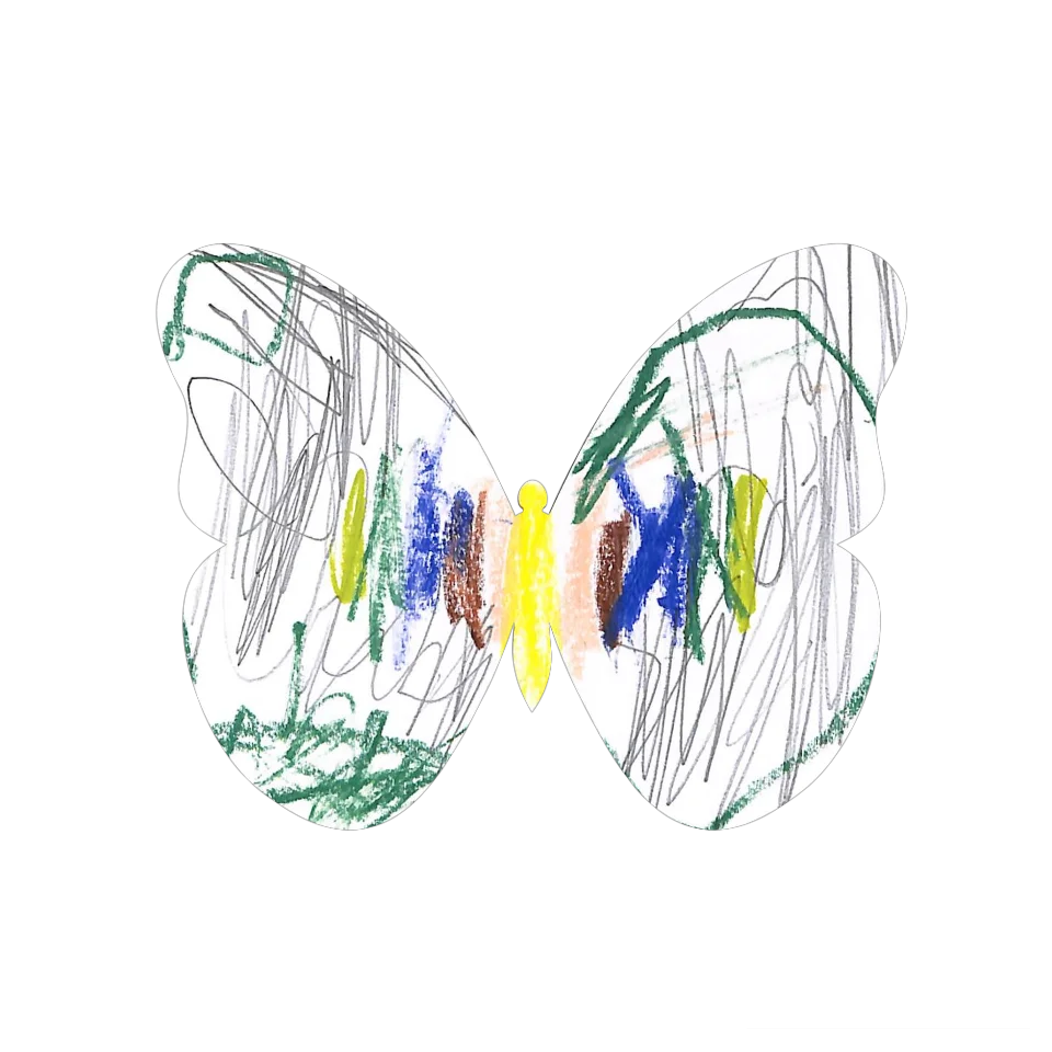 Original Butterfly Image
