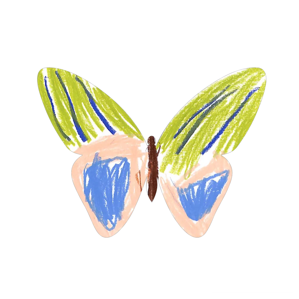 Original Butterfly Image
