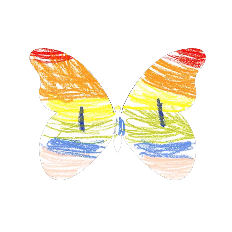 Original Butterfly Image
