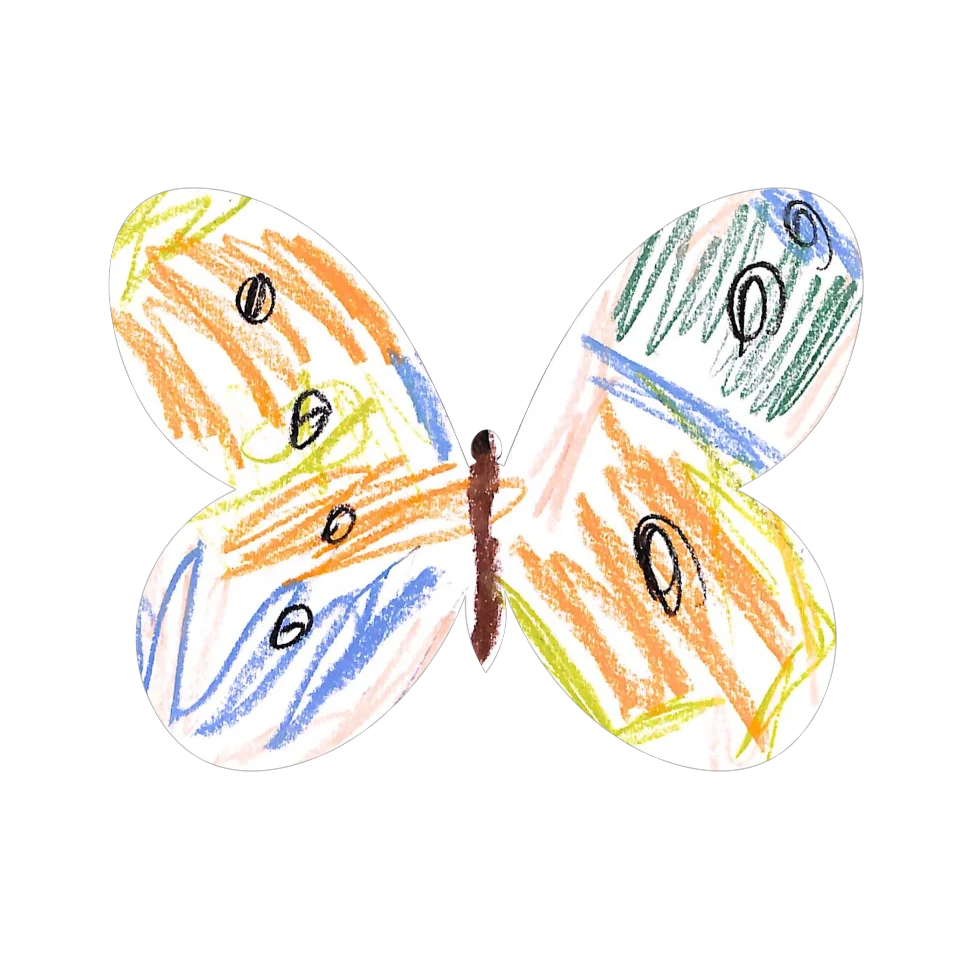Original Butterfly Image