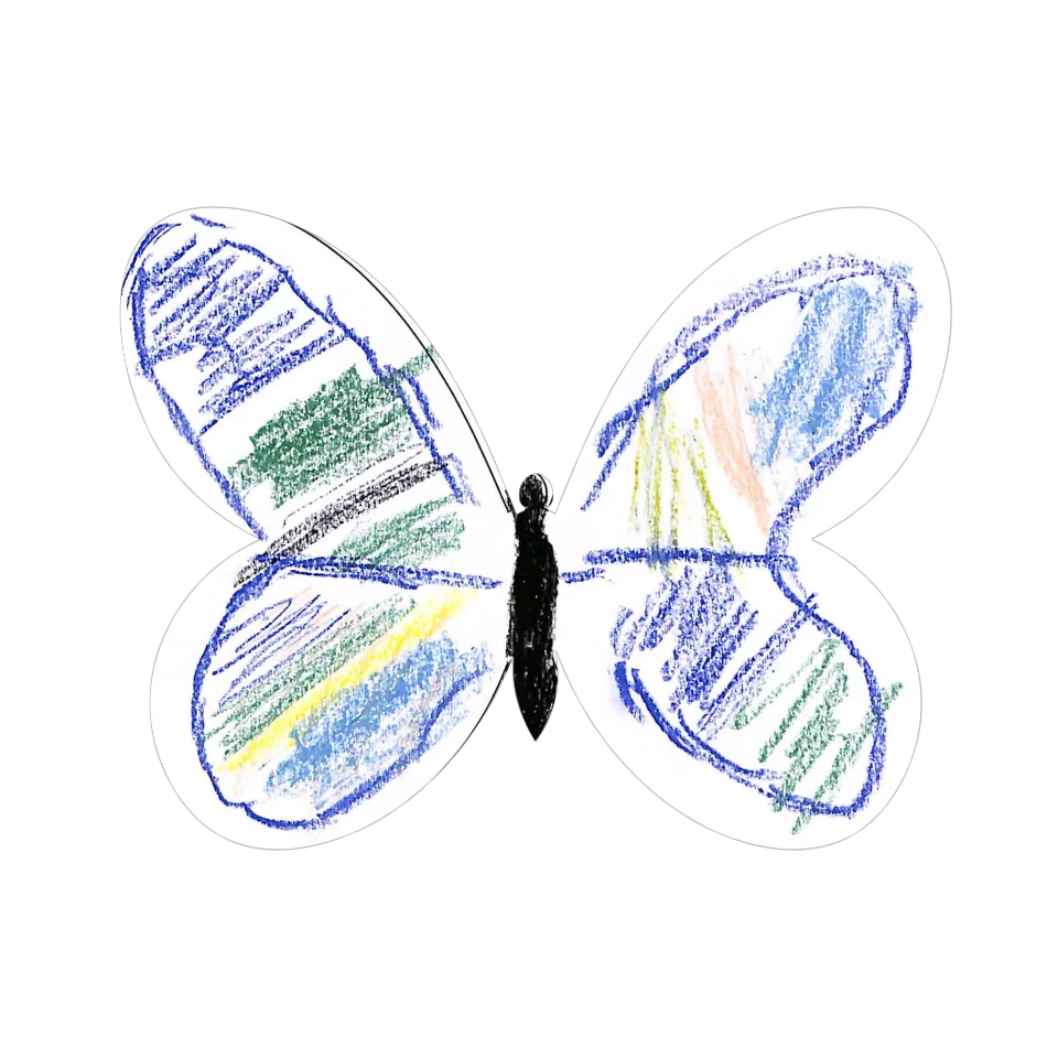 Original Butterfly Image
