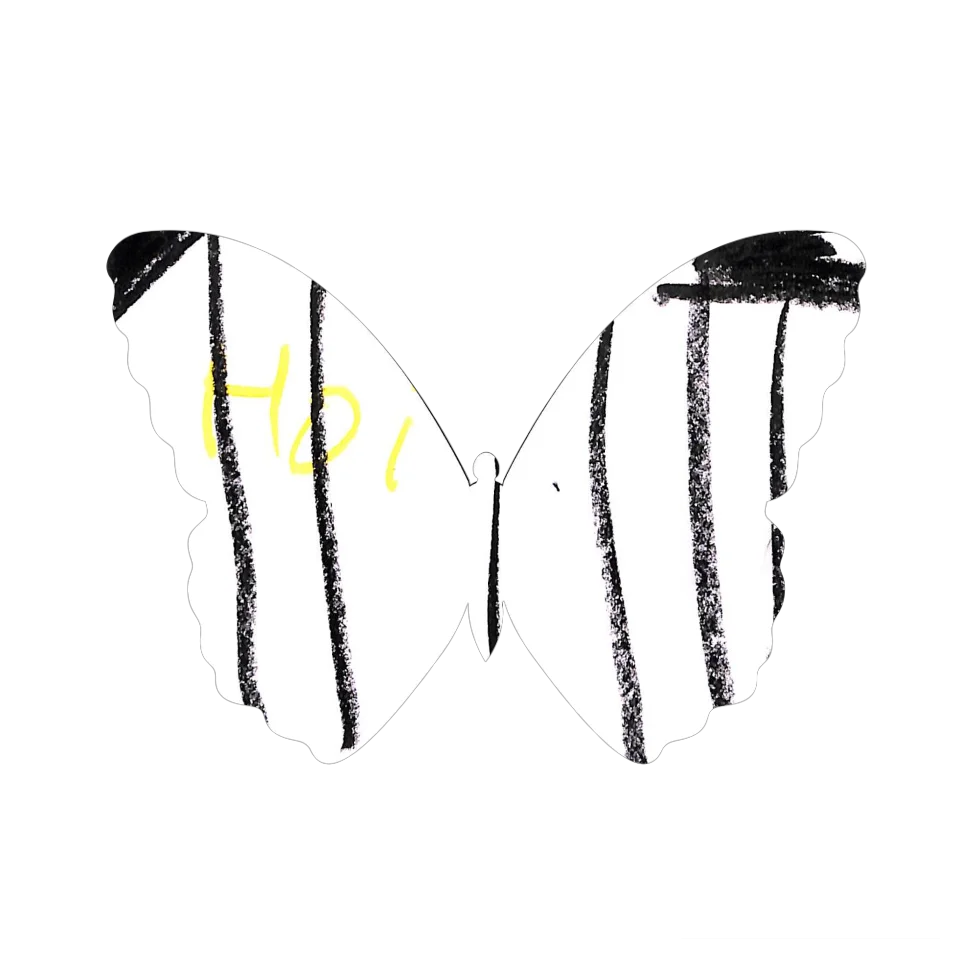Original Butterfly Image