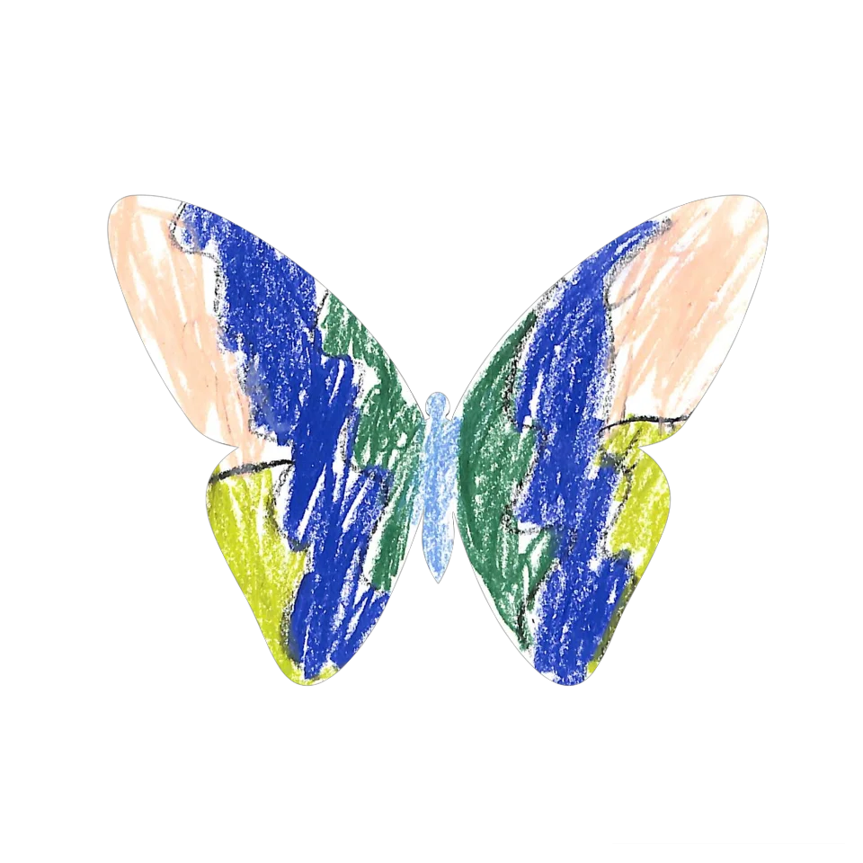 Original Butterfly Image