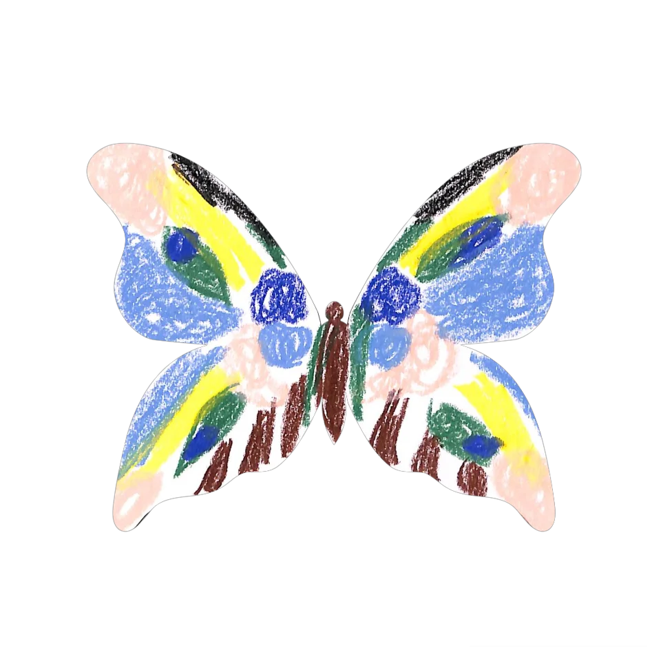 Original Butterfly Image