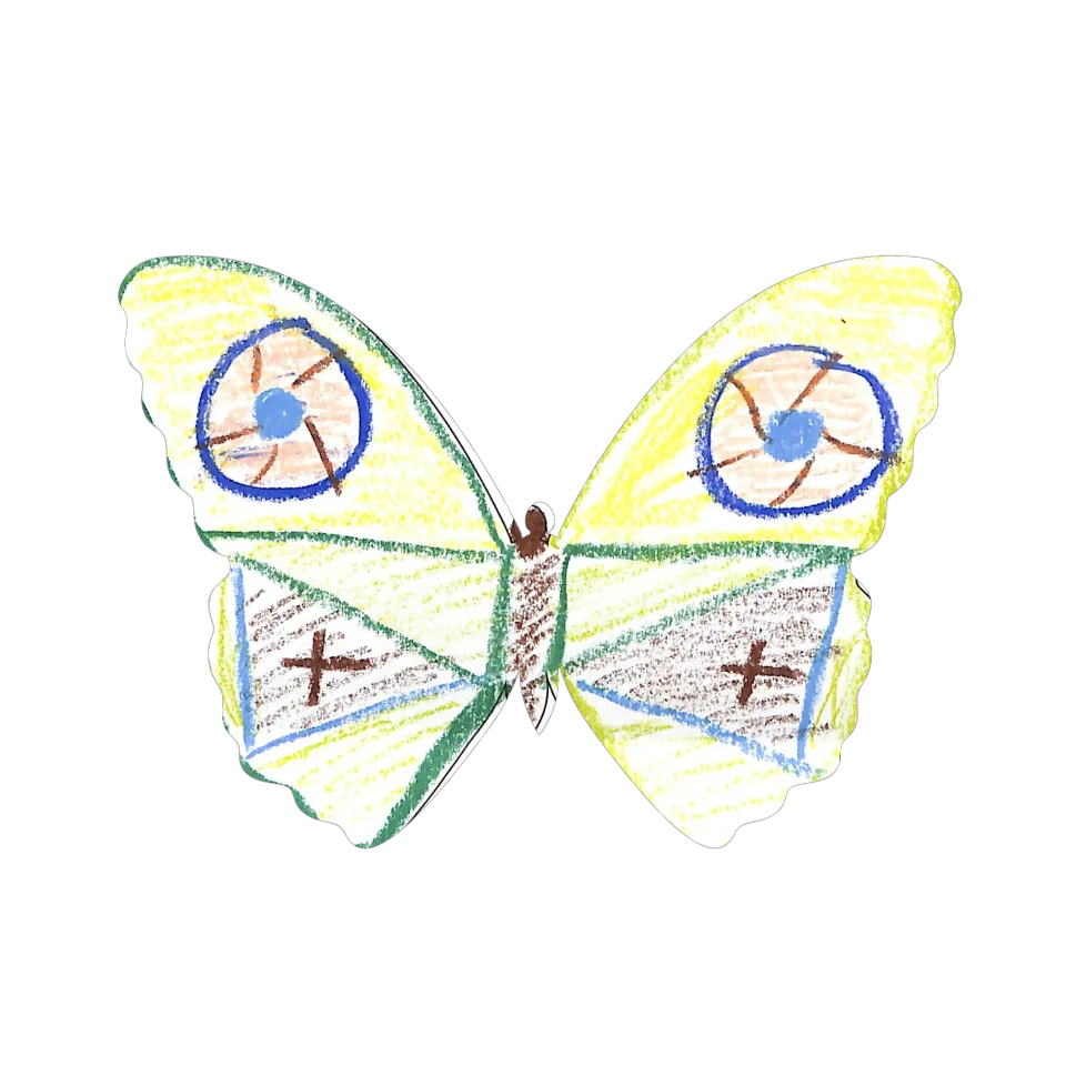 Original Butterfly Image