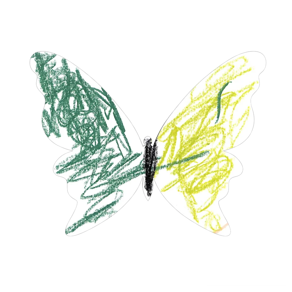 Original Butterfly Image