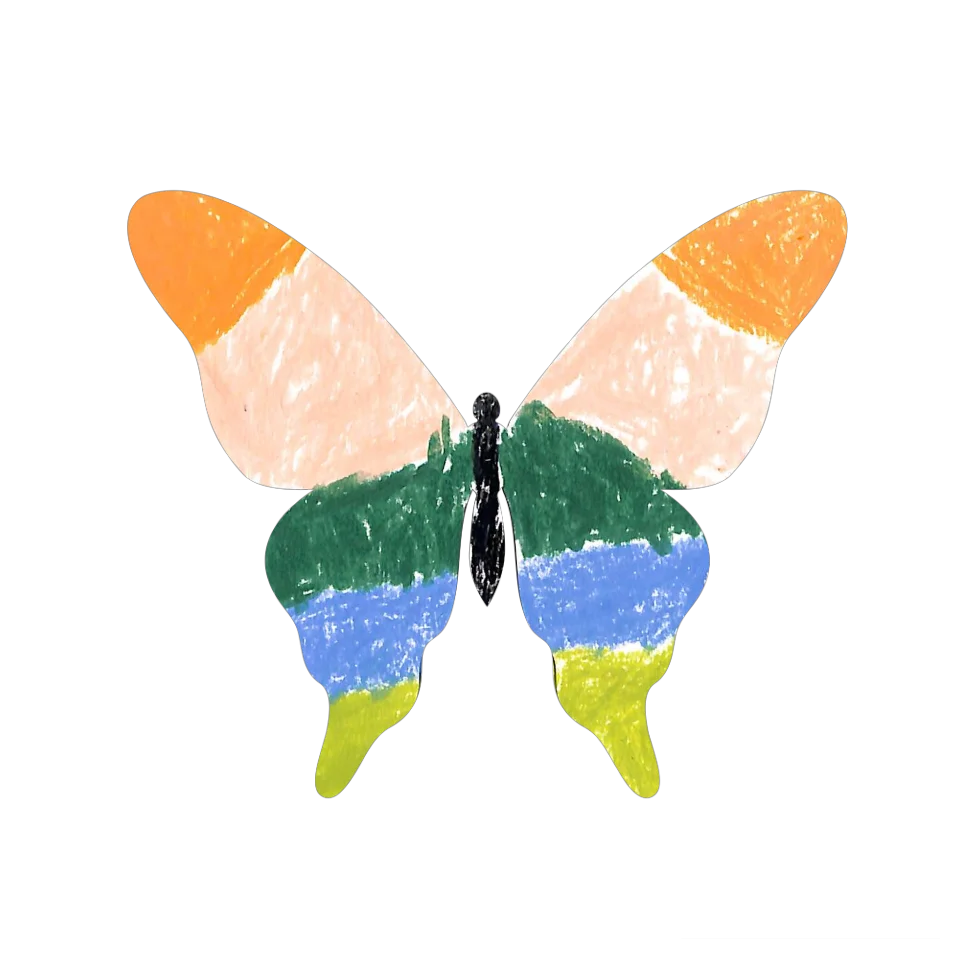 Original Butterfly Image