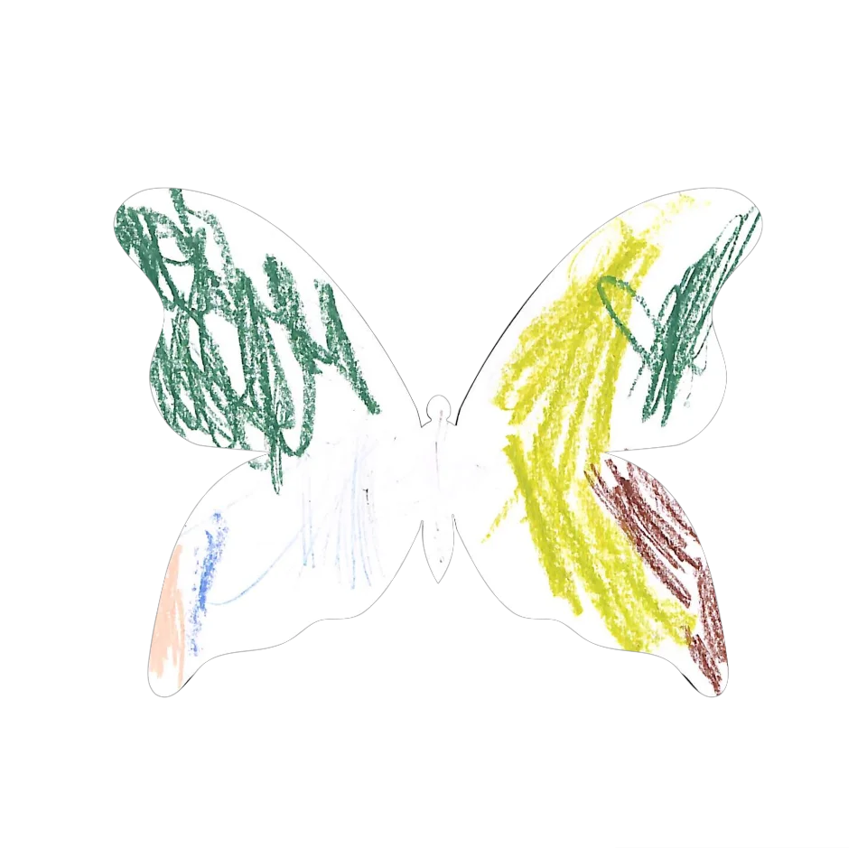 Original Butterfly Image