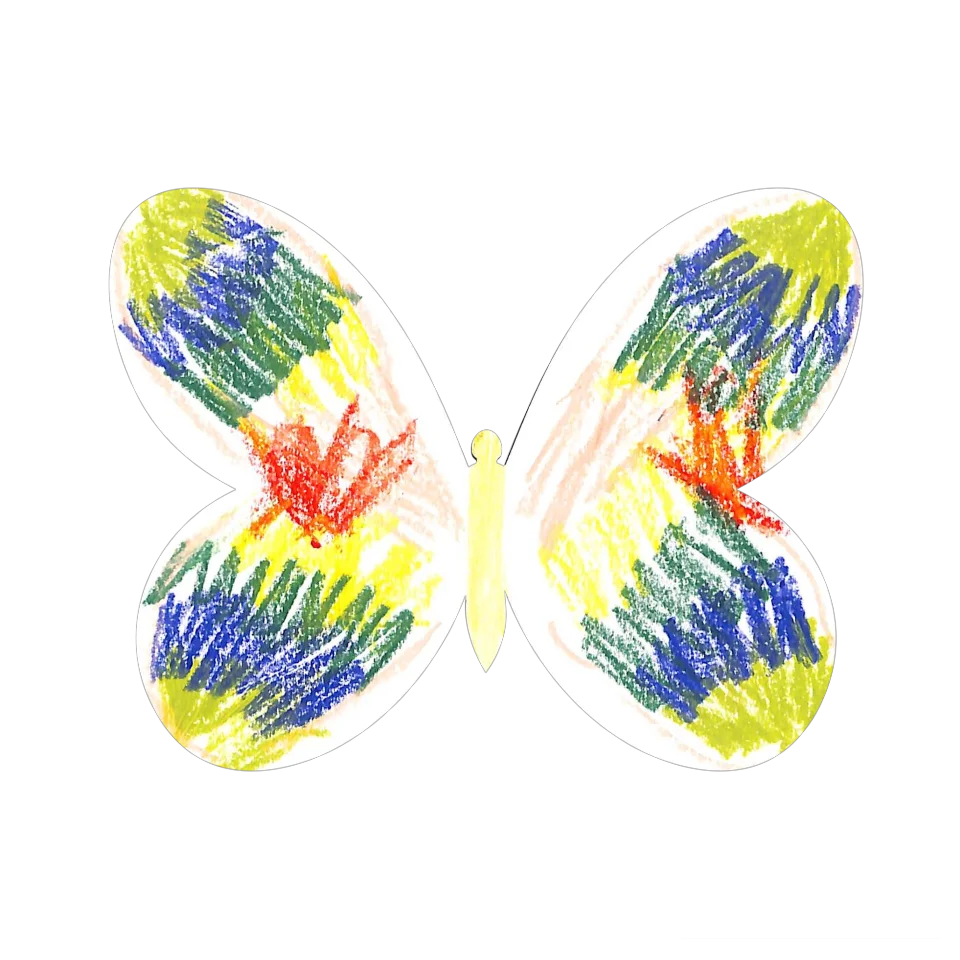 Original Butterfly Image