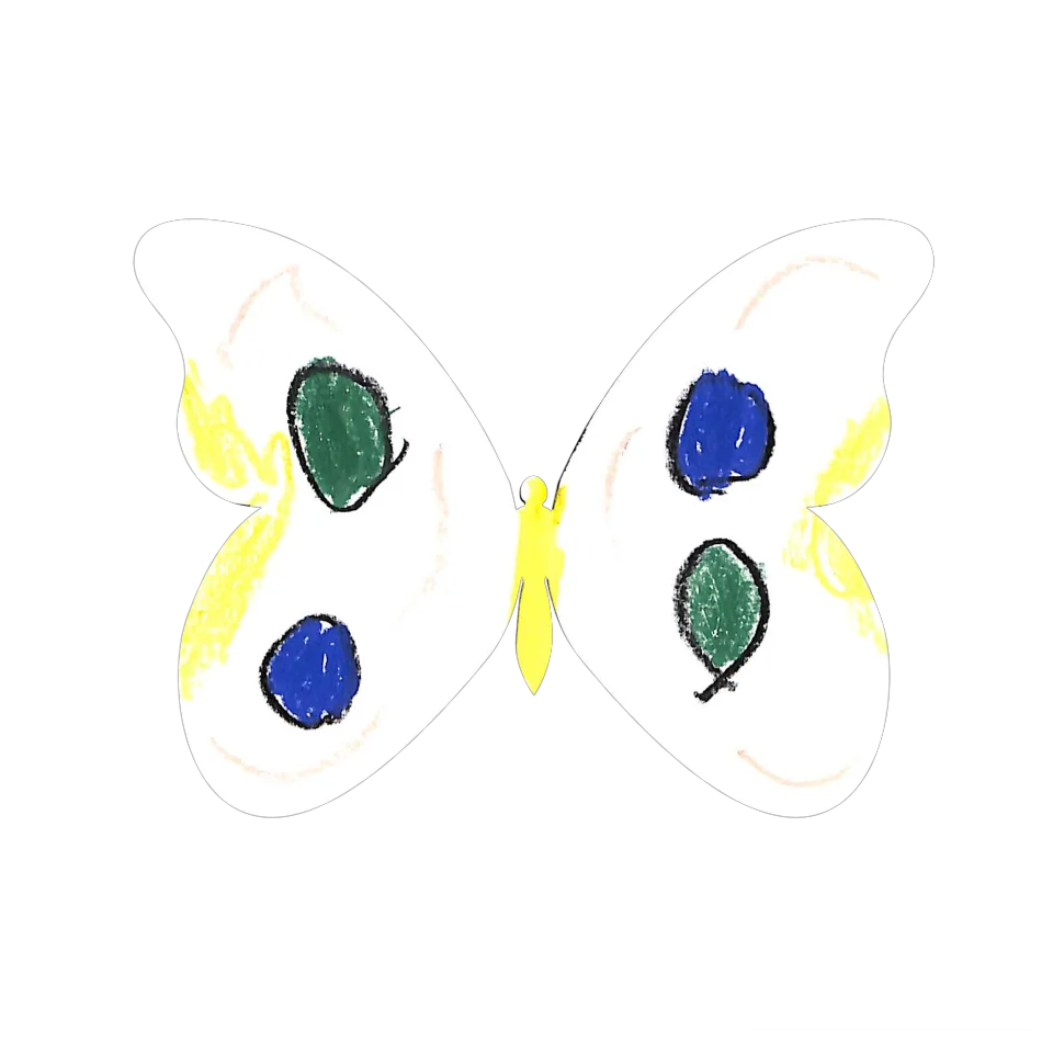 Original Butterfly Image