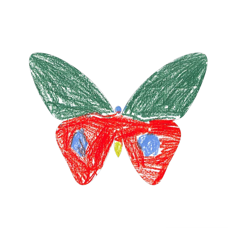 Original Butterfly Image