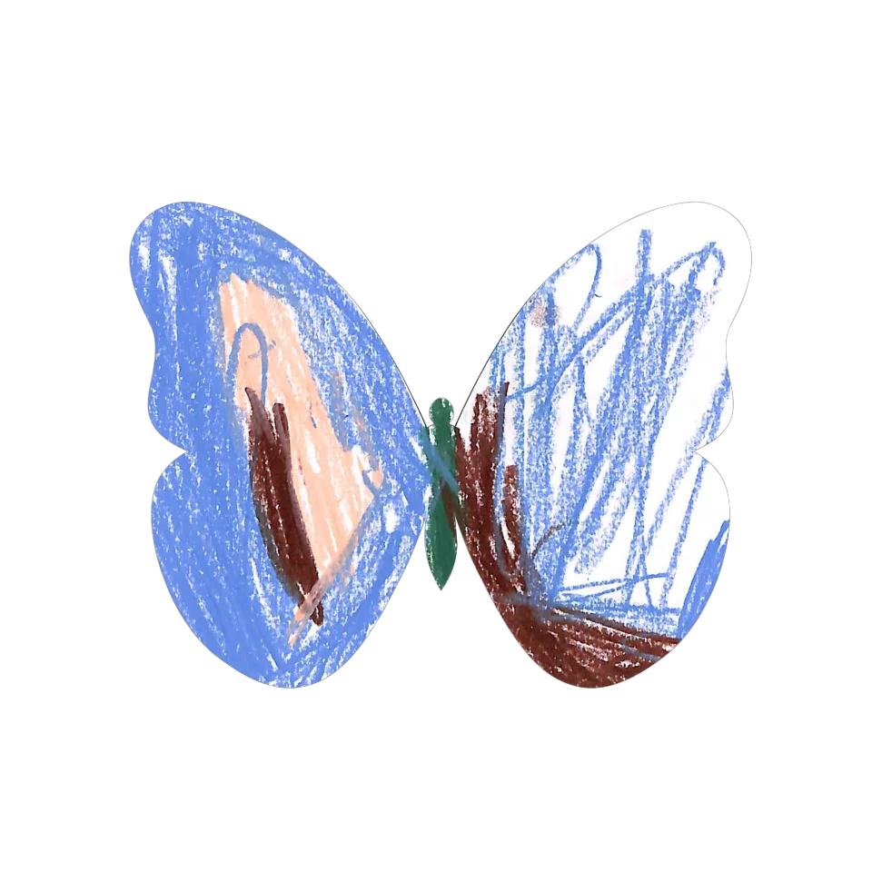 Original Butterfly Image