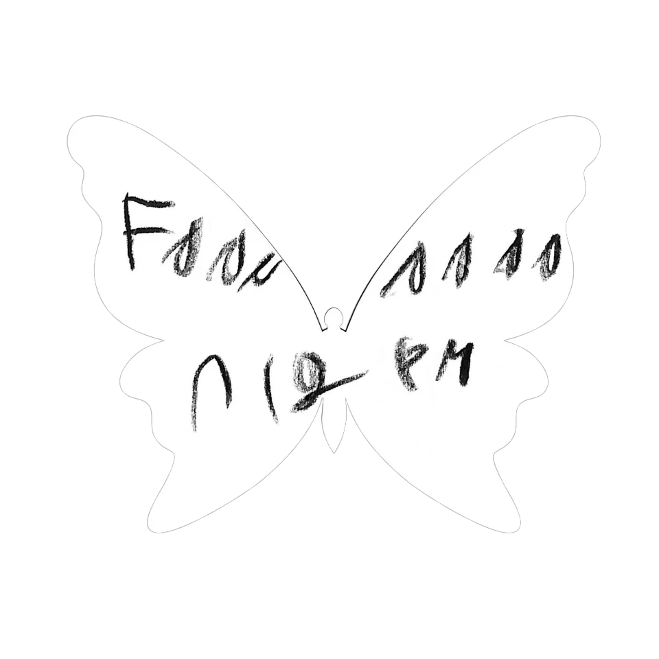 Original Butterfly Image