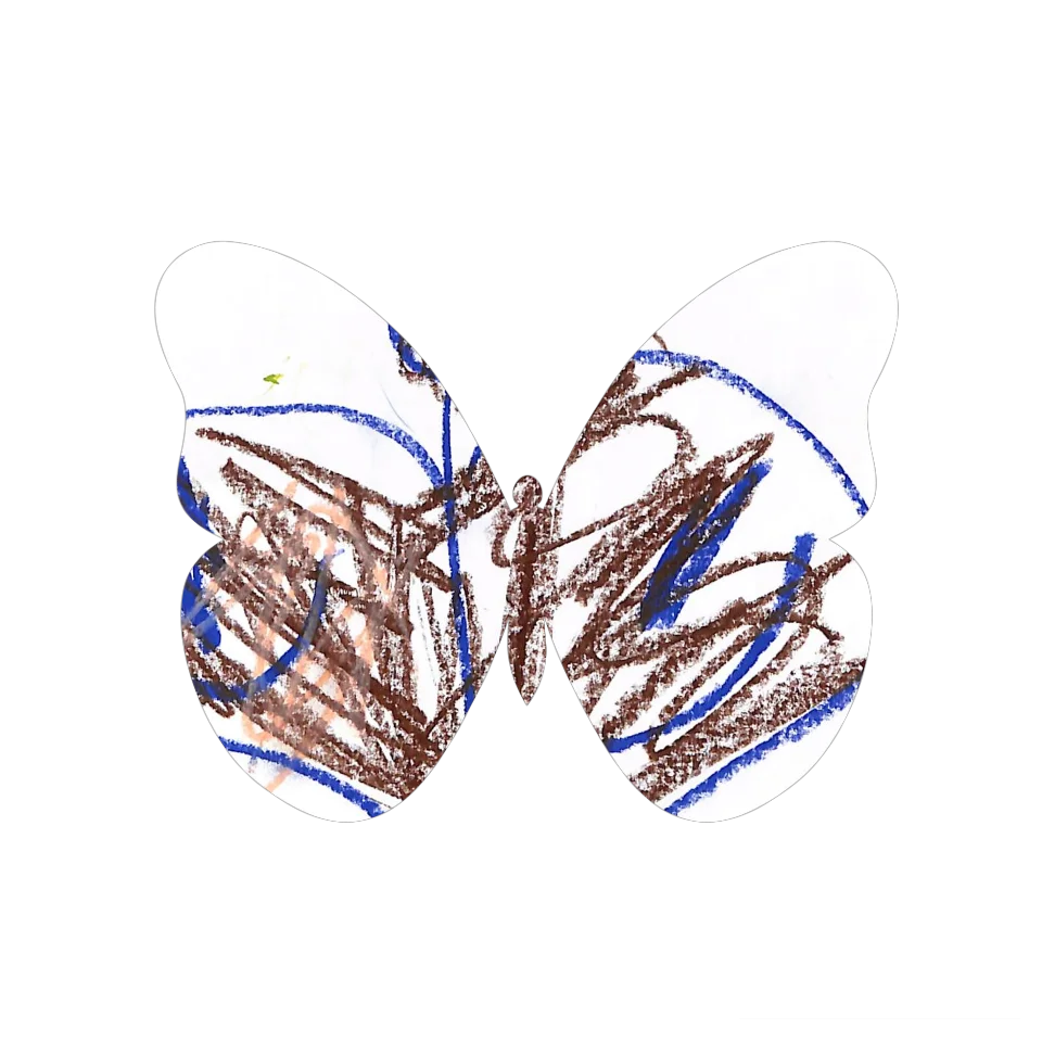 Original Butterfly Image