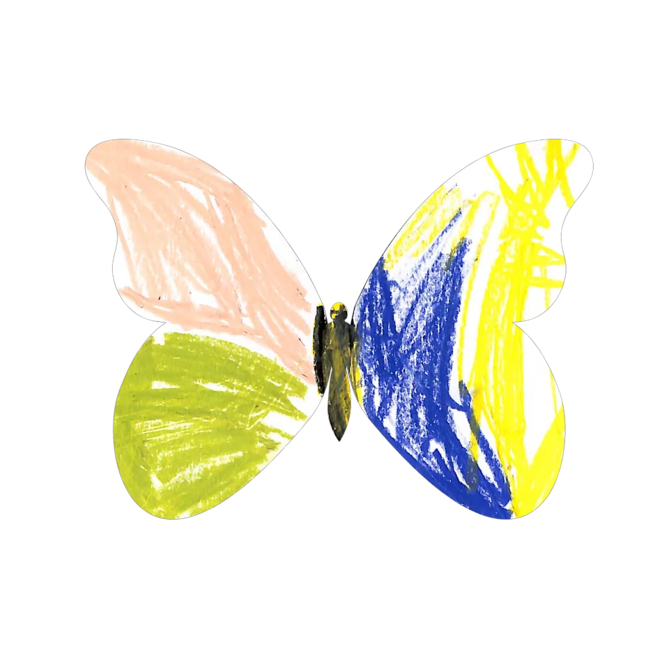 Original Butterfly Image