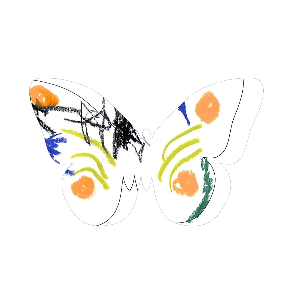 Original Butterfly Image